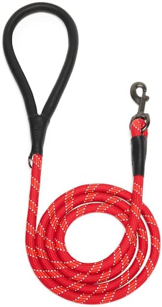 Reddy by Petco Rope Dog Leash, Red, 6-ft Long, 1/2-in Wide