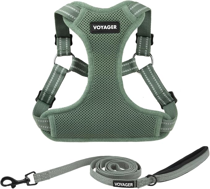 Best Pet Supplies Voyager Adjustable Step-in Flex Breathable Mesh Dog Harness for Small Medium Large Dogs Leash Set (Moss Green), S