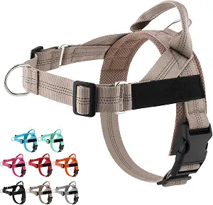 Pawly Lab Co No-Pull Harness, Reflective Adjustable Breathable Mesh Pet Vest, Easy On-Off Soft Padded Harness (XS,Beige)