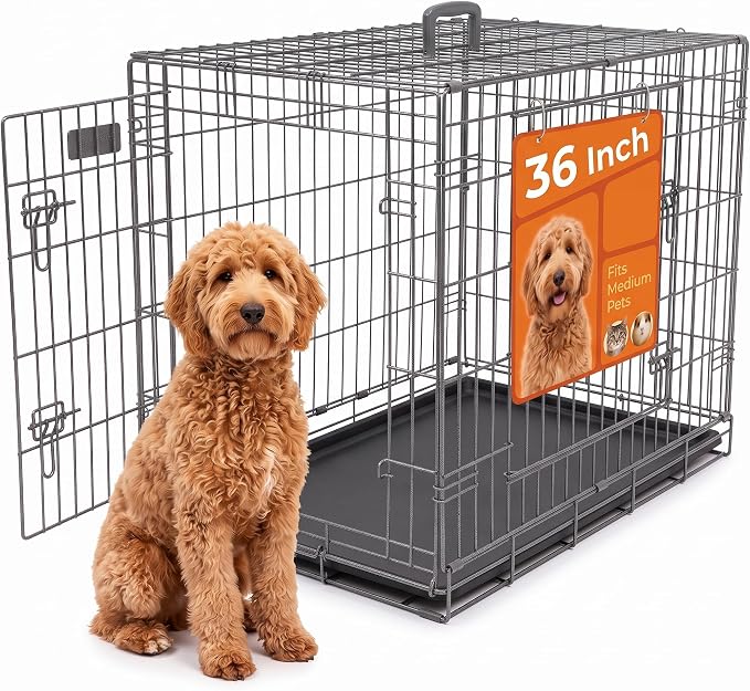 Freepet 36-Inch Double Door Folding Metal Dog Crate, Dark Gray | Spacious layout for active companions up to 70 lbs; great fit for Beagles; comfortable room for daily relaxed resting