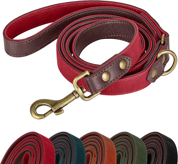 Didog Soft PU Leather Dog Leash for Small Dogs, Padded Handle, 5FT Red | Comfortable Grip, Full Control for Country Walking Training Running, Tangle-Free Bronze Clasp, Metal D-ring, Easy Clean,5/8in