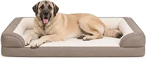 Furhaven Daybed Orthopedic Sofa Dog Bed, Washable Cover, Jumbo+, Toast