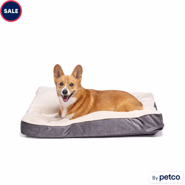 EveryYay Essentials Lounger Dog Bed