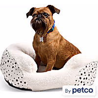 EveryYay Essentials Oval Cuddler Pet Bed
