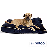 EveryYay Essentials Rectangle Lounger Dog Bed
