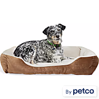 EveryYay Essentials Rectangle Nester Dog Bed
