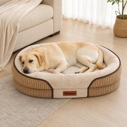 Kylinsure All-Around Orthopedic Bolster Dog Sofa Bed with Removable Cover