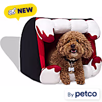 Petco Halloween Vampire Fangs Hooded Pet Bed