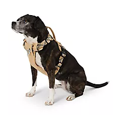 Arcadia Trail Lightweight Dog Harness