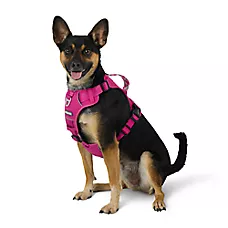 Arcadia Trail Quick Dry Dog Harness