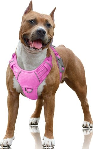 BARKBAY Air Reflective No-Pull Dog Harness with ID Tag Pocket
