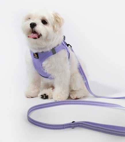 Bella & Pal OxyMesh Velcro Step-in Harness & Leash Set