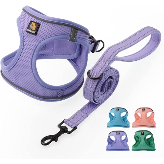 BELLA & PAL Puppy Harness and Leash Set