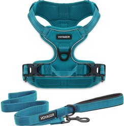 Best Pet Supplies Voyager Dual Attachment Outdoor Dog Harness & Leash Bundle