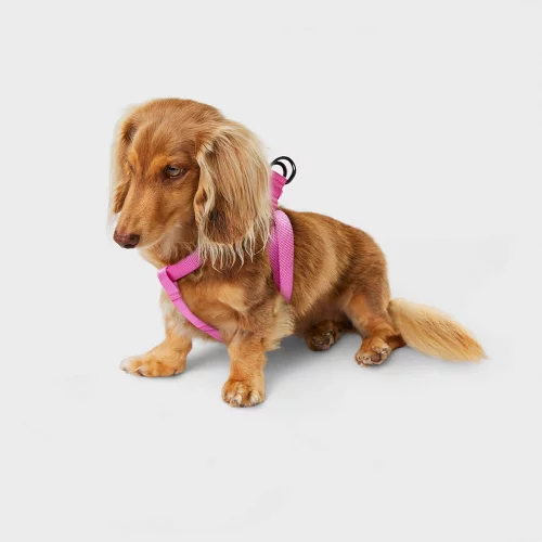 Boots & Barkley Basic Step In Adjustable Reinforced Stitching Dog Harness