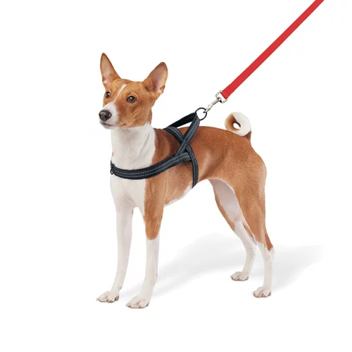 Boots & Barkley No Pull Comfort Dog Harness
