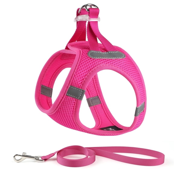 Charkool Reflective Dog Harness and Leash