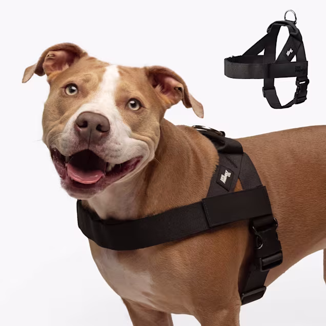 Dog Friendly Co Adjustable Neck Chafe Resistant Dog Harness