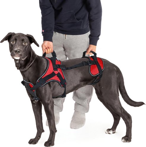 Doggie Stylz Multi-Functional Full-Body Lifting Basic Dog Harness