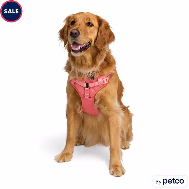 EveryYay Step in Dog Harness