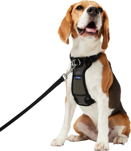 Frisco Padded No Pull Dog Harness