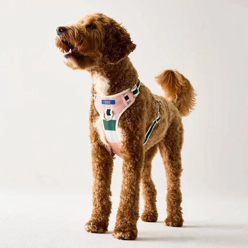 Hooray House Comfort Mesh Harness