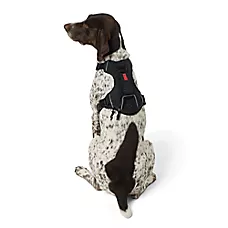 KONG Reflective Dog Harness with Poop Bag Holder