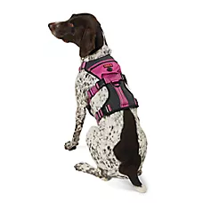 Kong Safety Adjustable Dog Harness