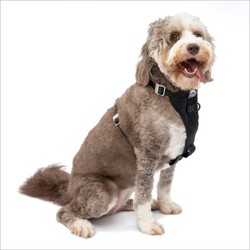 Kurgo Tru-Fit Enhanced Strength Car Harness