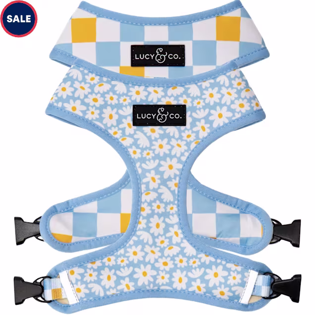 Lucy & Co. The Simply Splendid Reversible Dog Harness