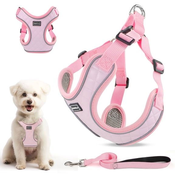 PcEoTllar Dog Harness and Leash Combo