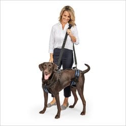PetSafe CareLift Full Body Support Dog Harness