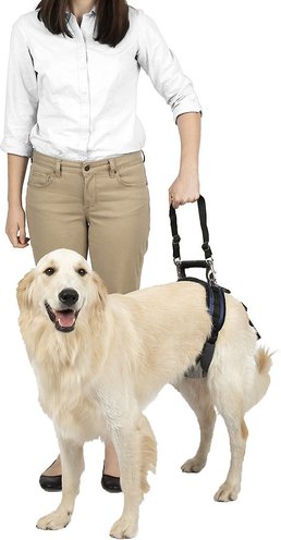 PetSafe CareLift Rear Support Dog Harness