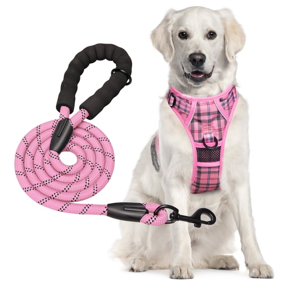 PoyPet Dog Harness and Leash Combo
