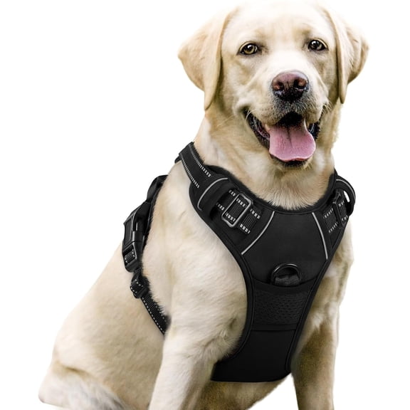 rabbitgoo Dog Harness