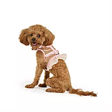 Thrills & Chills Halloween Cowgirl Dog Costume Harness