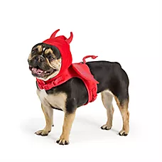 Thrills & Chills Halloween Devil Dog Costume Harness