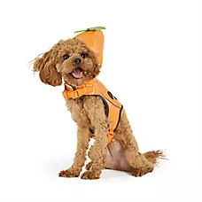Thrills & Chills Halloween Pumpkin Dog Costume Harness