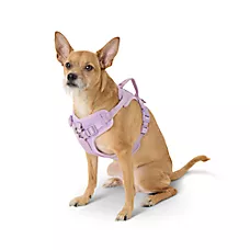 Top Paw Adjustable Neoprene Comfort Dog Harness