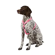 Top Paw Basic Dog Harness