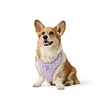 Top Paw Daisy Dog Harness