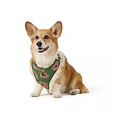 Top Paw Green Floral Adjustable Comfort Dog Harness