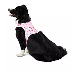 Top Paw Pink Peony Dog Harness