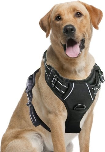 Vila Adjustable Reflective No Pull Dog Harness