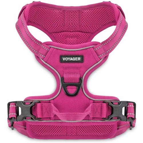 Voyager Dual-Attachment No-Pull Dog Harness for Active and Outdoor Dogs