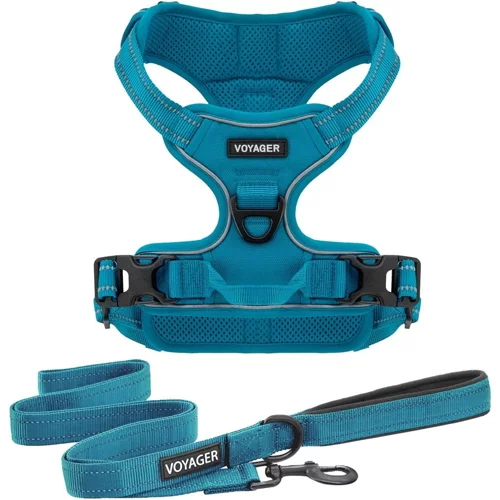 Voyager Dual-Attachment No-Pull Dog Harness with 6ft Leash Combo