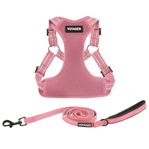 Voyager Step-In Flex Adjustable Dog Harness and Leash Set