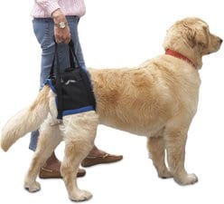 WALKABOUT Original Back End Harness