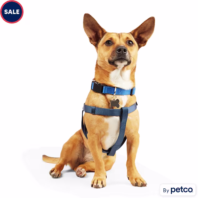 YOULY Adjustable Dog Harness