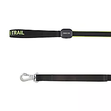 Arcadia Trail Light-Up LED Dog Leash